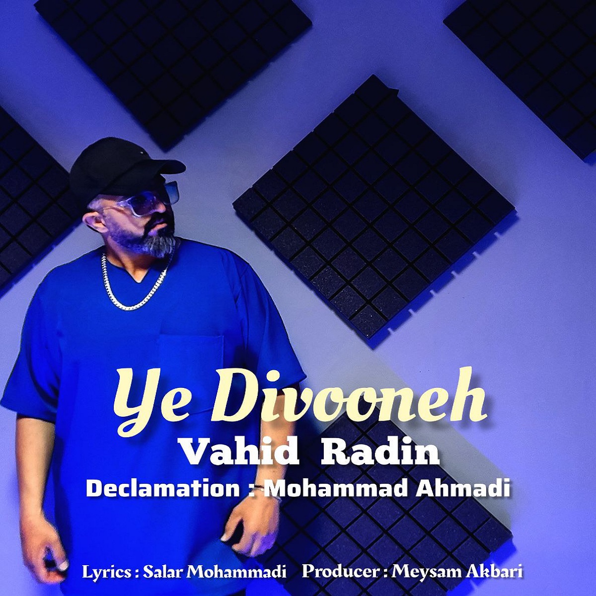 وحید رادین - یه دیوونه